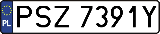 PSZ7391Y