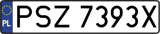 PSZ7393X