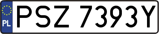 PSZ7393Y