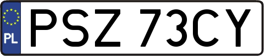 PSZ73CY