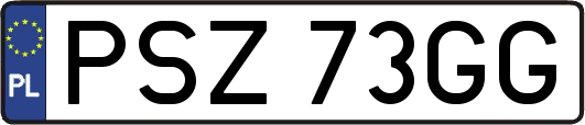 PSZ73GG