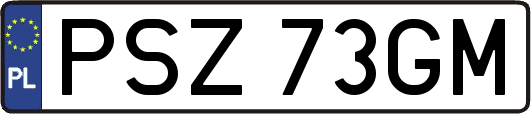 PSZ73GM