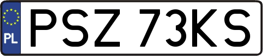 PSZ73KS