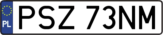 PSZ73NM