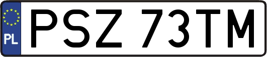 PSZ73TM