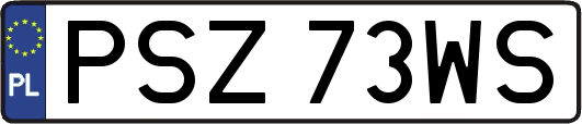 PSZ73WS