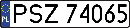 PSZ74065