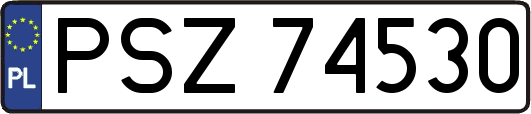 PSZ74530