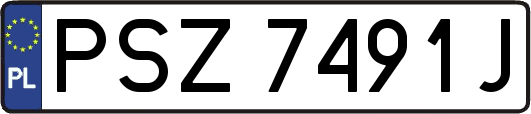 PSZ7491J