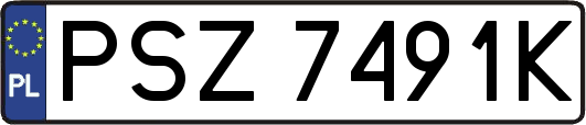 PSZ7491K