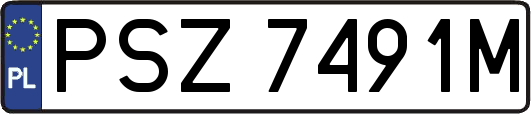 PSZ7491M