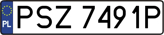 PSZ7491P