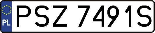 PSZ7491S