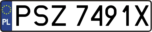 PSZ7491X