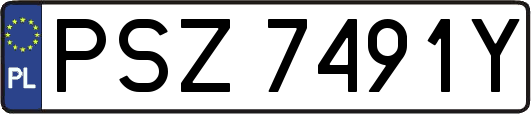 PSZ7491Y