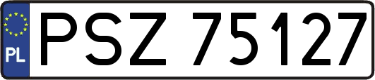 PSZ75127