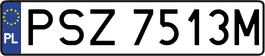 PSZ7513M