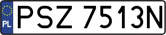 PSZ7513N