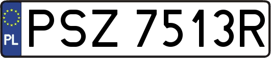 PSZ7513R