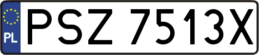 PSZ7513X