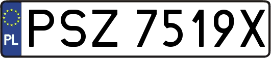 PSZ7519X