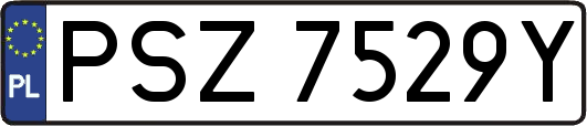PSZ7529Y