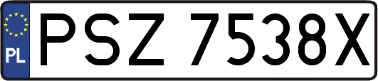 PSZ7538X
