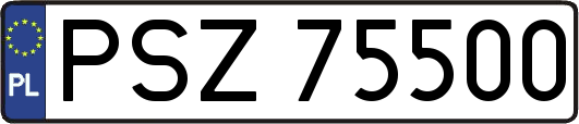PSZ75500