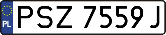 PSZ7559J
