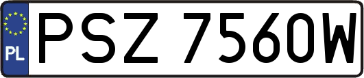 PSZ7560W