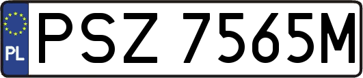 PSZ7565M