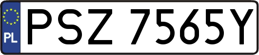PSZ7565Y
