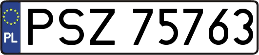 PSZ75763
