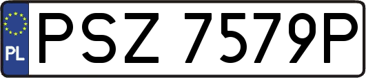 PSZ7579P