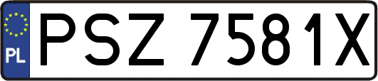 PSZ7581X