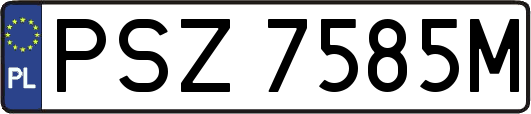 PSZ7585M