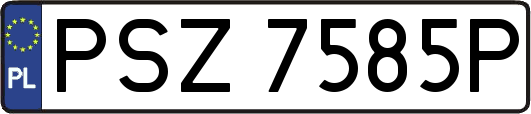 PSZ7585P