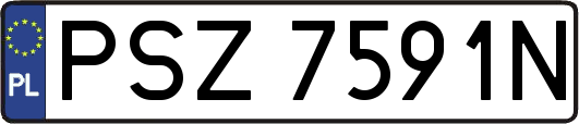 PSZ7591N