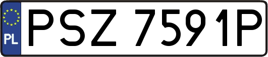 PSZ7591P