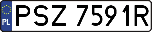 PSZ7591R