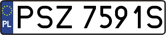 PSZ7591S