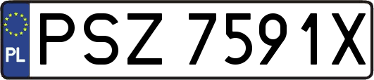 PSZ7591X