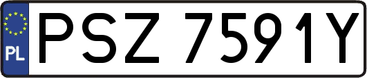 PSZ7591Y