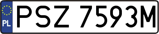 PSZ7593M