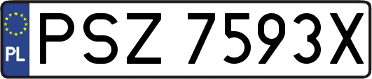 PSZ7593X