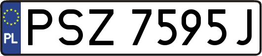 PSZ7595J