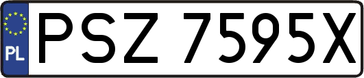 PSZ7595X
