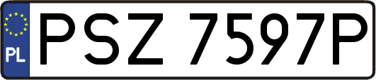 PSZ7597P