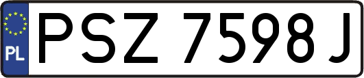 PSZ7598J