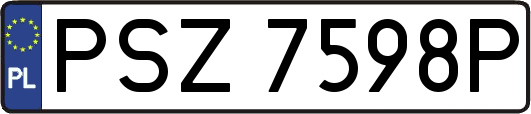 PSZ7598P